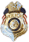 Federal Protective Service lapel pin